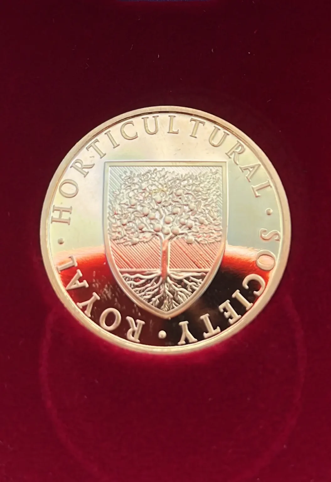 Home RHS chelsea gold medal