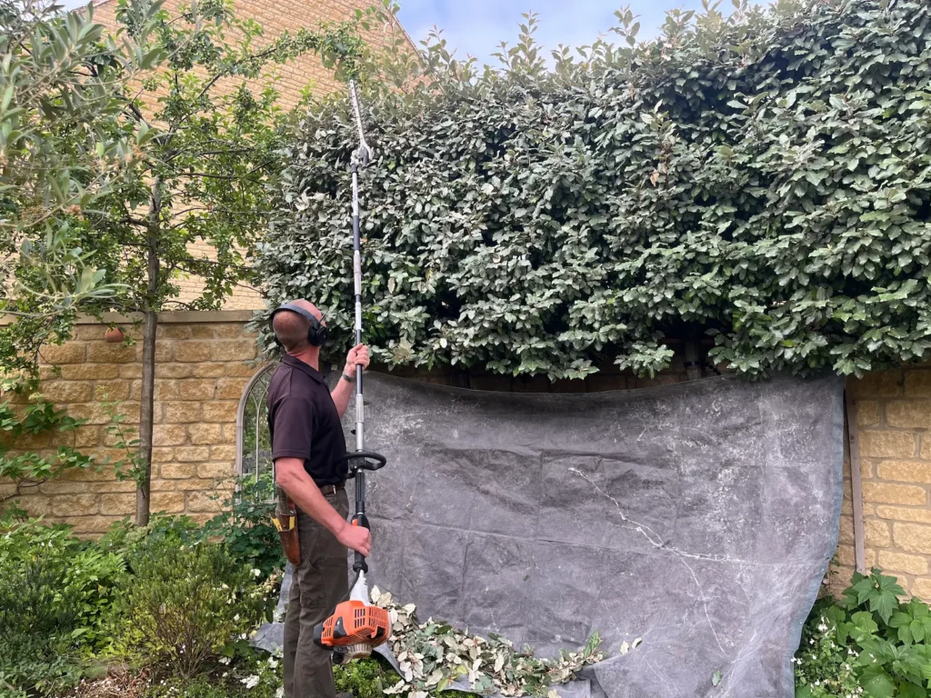 Services garden hedgecutting