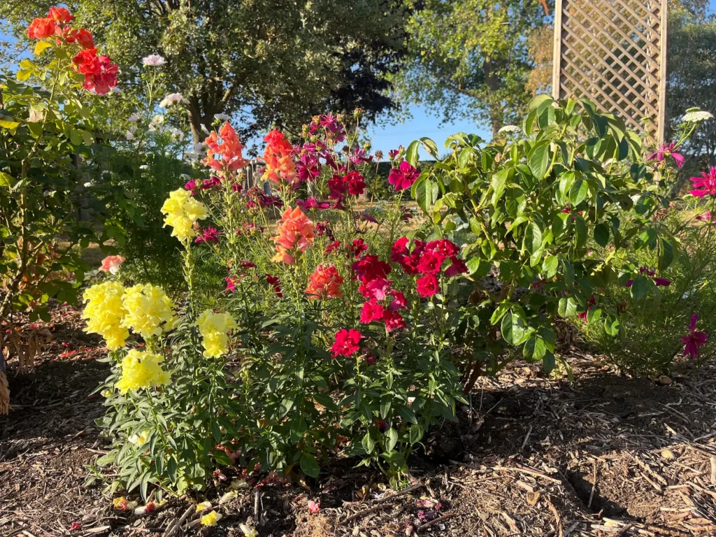 Services garden design worcestershire